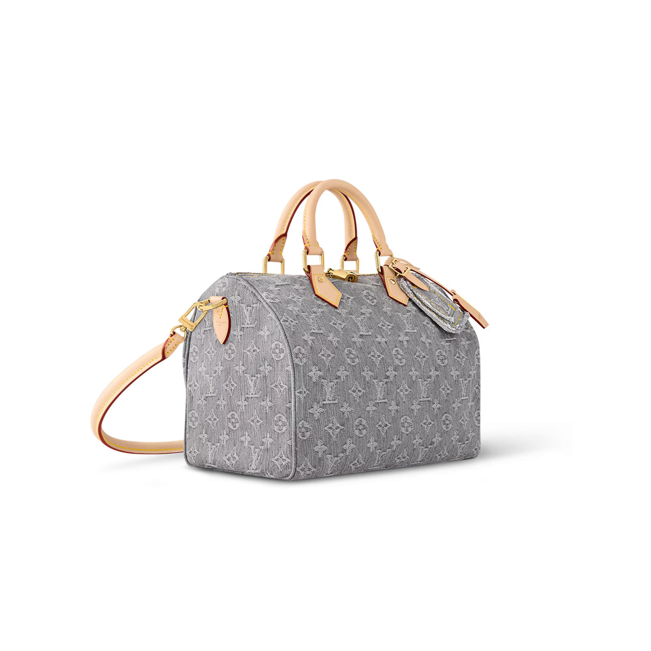 LOUIS VUITTON MASTER SPEEDY SOFT 30 M13344 (30*21*17cm)